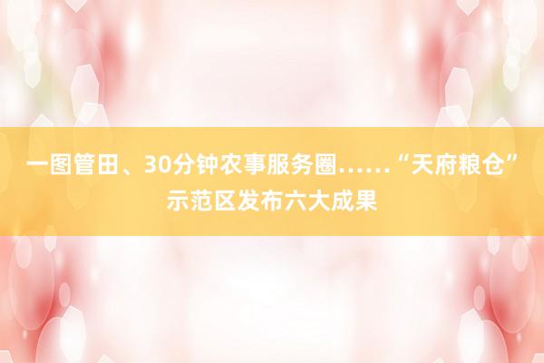 一图管田、30分钟农事服务圈……“天府粮仓”示范区发布六大成果