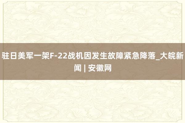 驻日美军一架F-22战机因发生故障紧急降落_大皖新闻 | 安徽网