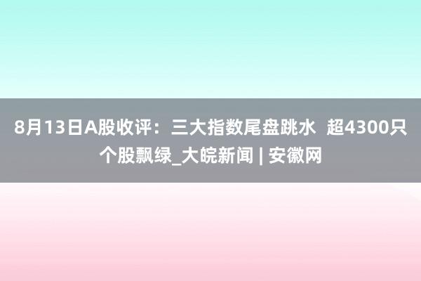 8月13日A股收评：三大指数尾盘跳水  超4300只个股飘绿_大皖新闻 | 安徽网