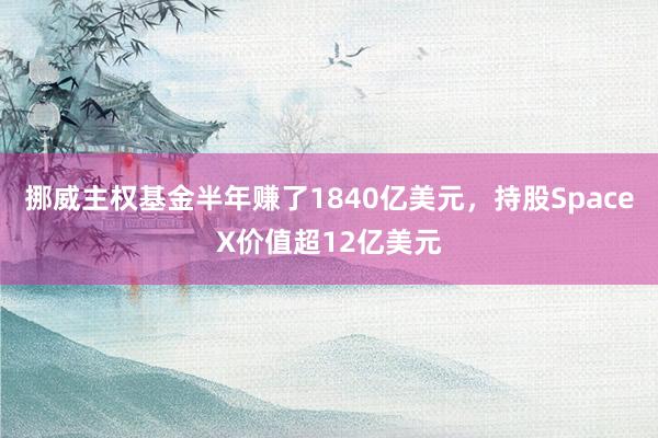 挪威主权基金半年赚了1840亿美元，持股SpaceX价值超12亿美元