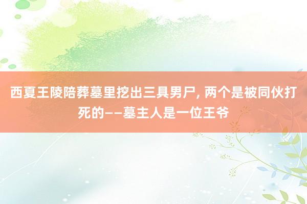 西夏王陵陪葬墓里挖出三具男尸, 两个是被同伙打死的——墓主人是一位王爷