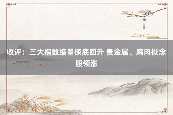 收评：三大指数缩量探底回升 贵金属、鸡肉概念股领涨