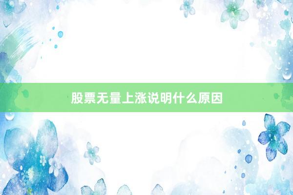 股票无量上涨说明什么原因