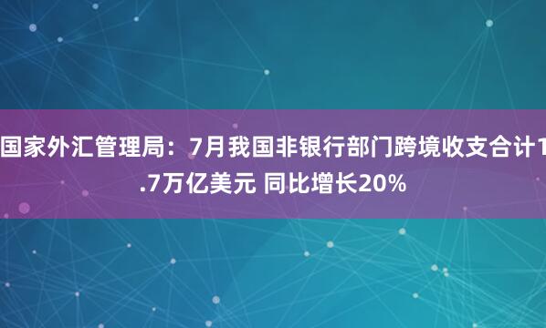 国家外汇管理局：7月我国非银行部门跨境收支合计1.7万亿美元 同比增长20%