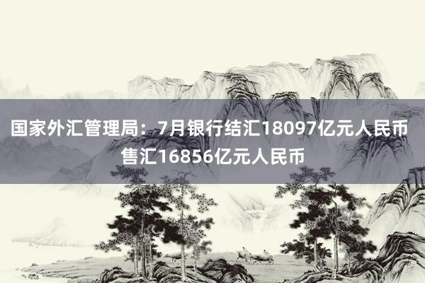 国家外汇管理局：7月银行结汇18097亿元人民币 售汇16856亿元人民币