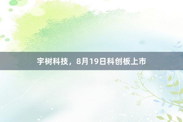 宇树科技，8月19日科创板上市