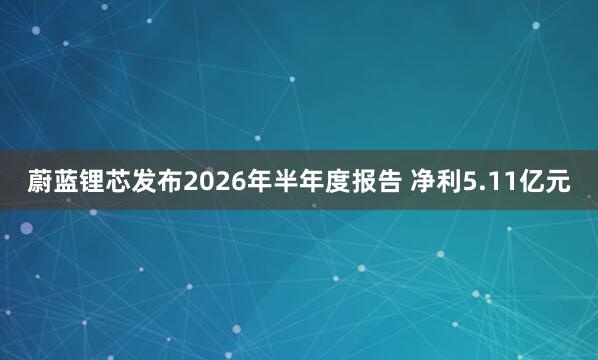 蔚蓝锂芯发布2026年半年度报告 净利5.11亿元