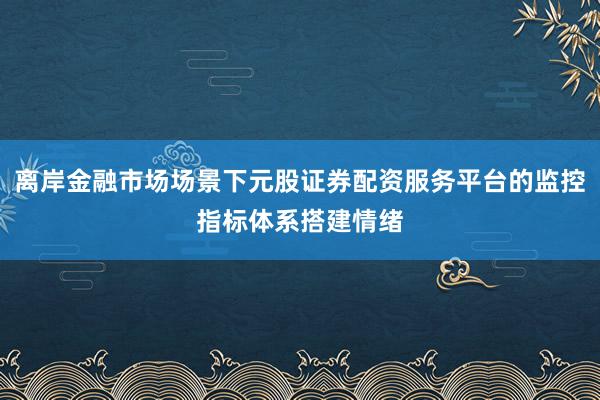 离岸金融市场场景下元股证券配资服务平台的监控指标体系搭建情绪