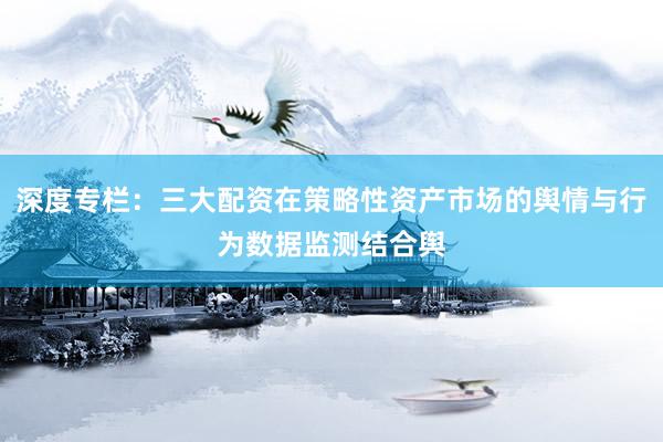 深度专栏：三大配资在策略性资产市场的舆情与行为数据监测结合舆