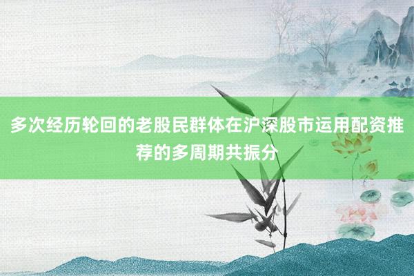 多次经历轮回的老股民群体在沪深股市运用配资推荐的多周期共振分