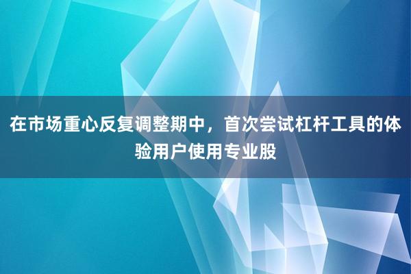 在市场重心反复调整期中，首次尝试杠杆工具的体验用户使用专业股