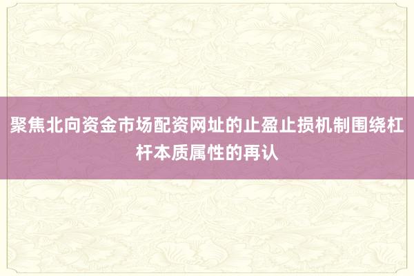 聚焦北向资金市场配资网址的止盈止损机制围绕杠杆本质属性的再认