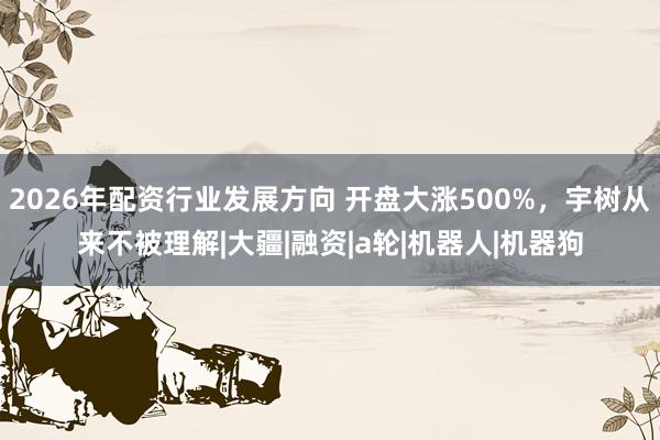 2026年配资行业发展方向 开盘大涨500%，宇树从来不被理解|大疆|融资|a轮|机器人|机器狗