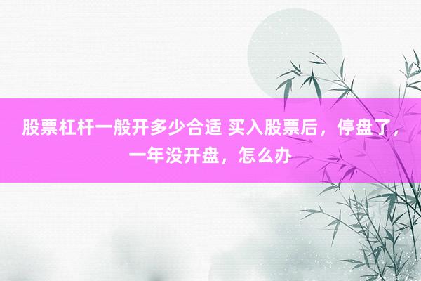 股票杠杆一般开多少合适 买入股票后，停盘了，一年没开盘，怎么办