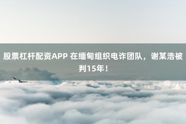 股票杠杆配资APP 在缅甸组织电诈团队，谢某浩被判15年！