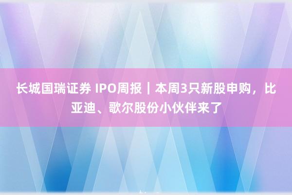 长城国瑞证券 IPO周报｜本周3只新股申购，比亚迪、歌尔股份小伙伴来了