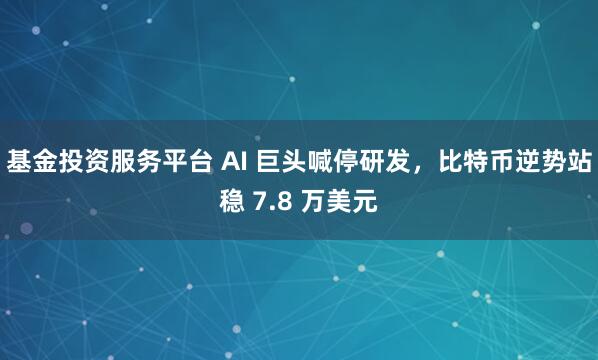 基金投资服务平台 AI 巨头喊停研发，比特币逆势站稳 7.8 万美元
