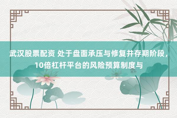 武汉股票配资 处于盘面承压与修复并存期阶段，10倍杠杆平台的风险预算制度与