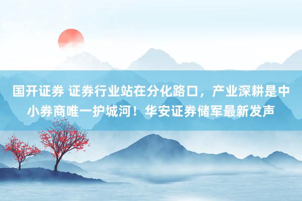 国开证券 证券行业站在分化路口，产业深耕是中小券商唯一护城河！华安证券储军最新发声