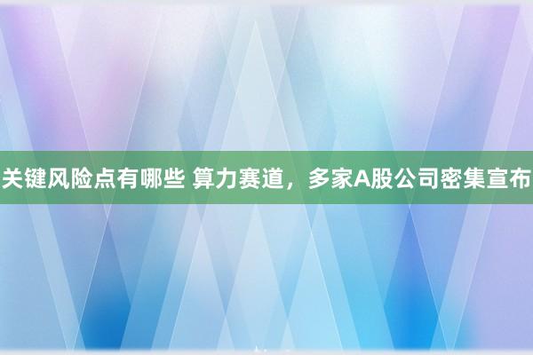 关键风险点有哪些 算力赛道，多家A股公司密集宣布