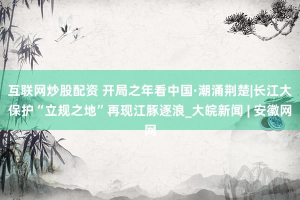 互联网炒股配资 开局之年看中国·潮涌荆楚|长江大保护“立规之地”再现江豚逐浪_大皖新闻 | 安徽网