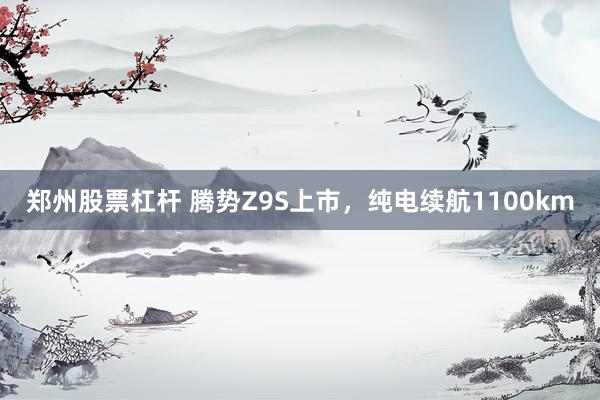 郑州股票杠杆 腾势Z9S上市,纯电续航1100km