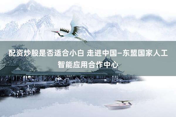 配资炒股是否适合小白 走进中国—东盟国家人工智能应用合作中心